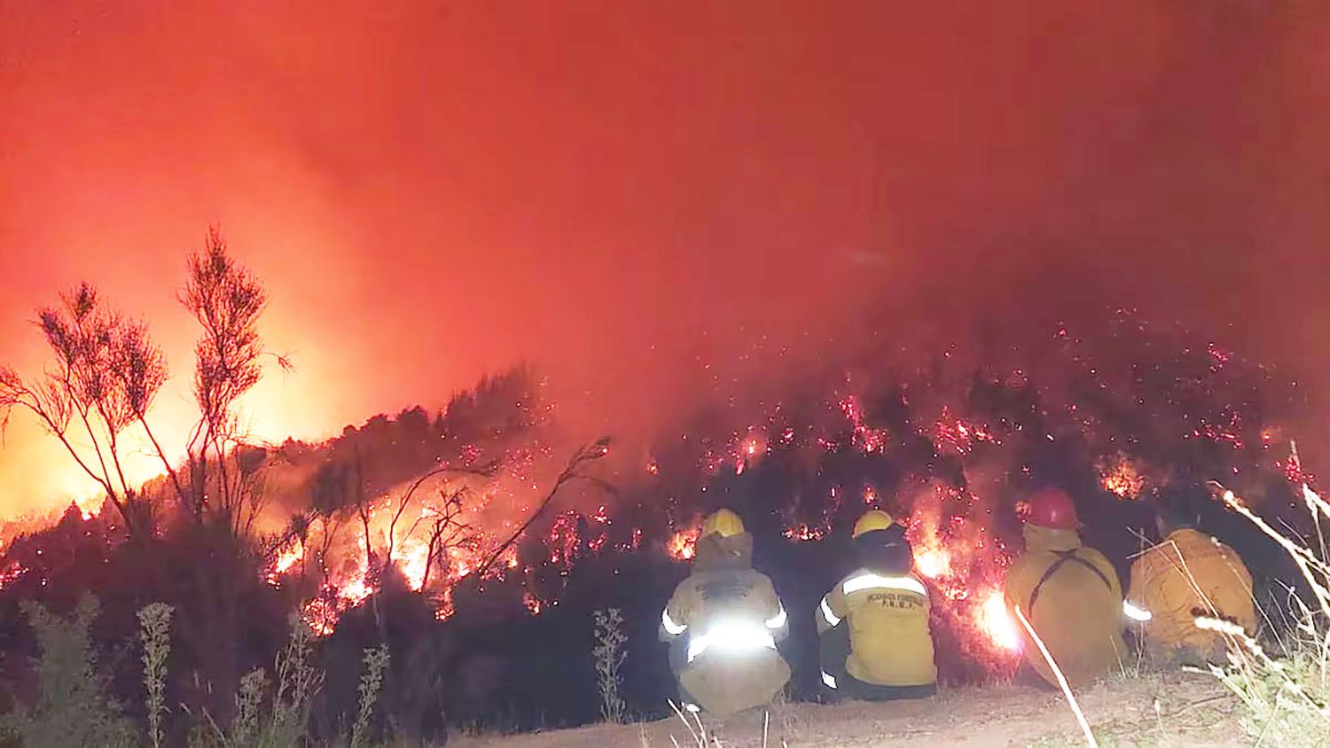 El Gobierno de Río Negro entregará $30 millones a quienes perdieron sus viviendas en los incendios