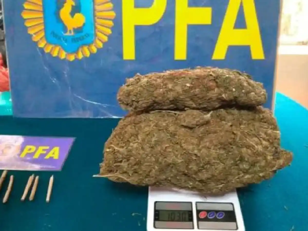 Alumnos tenían un kilo de marihuana escondido en un locker del colegio