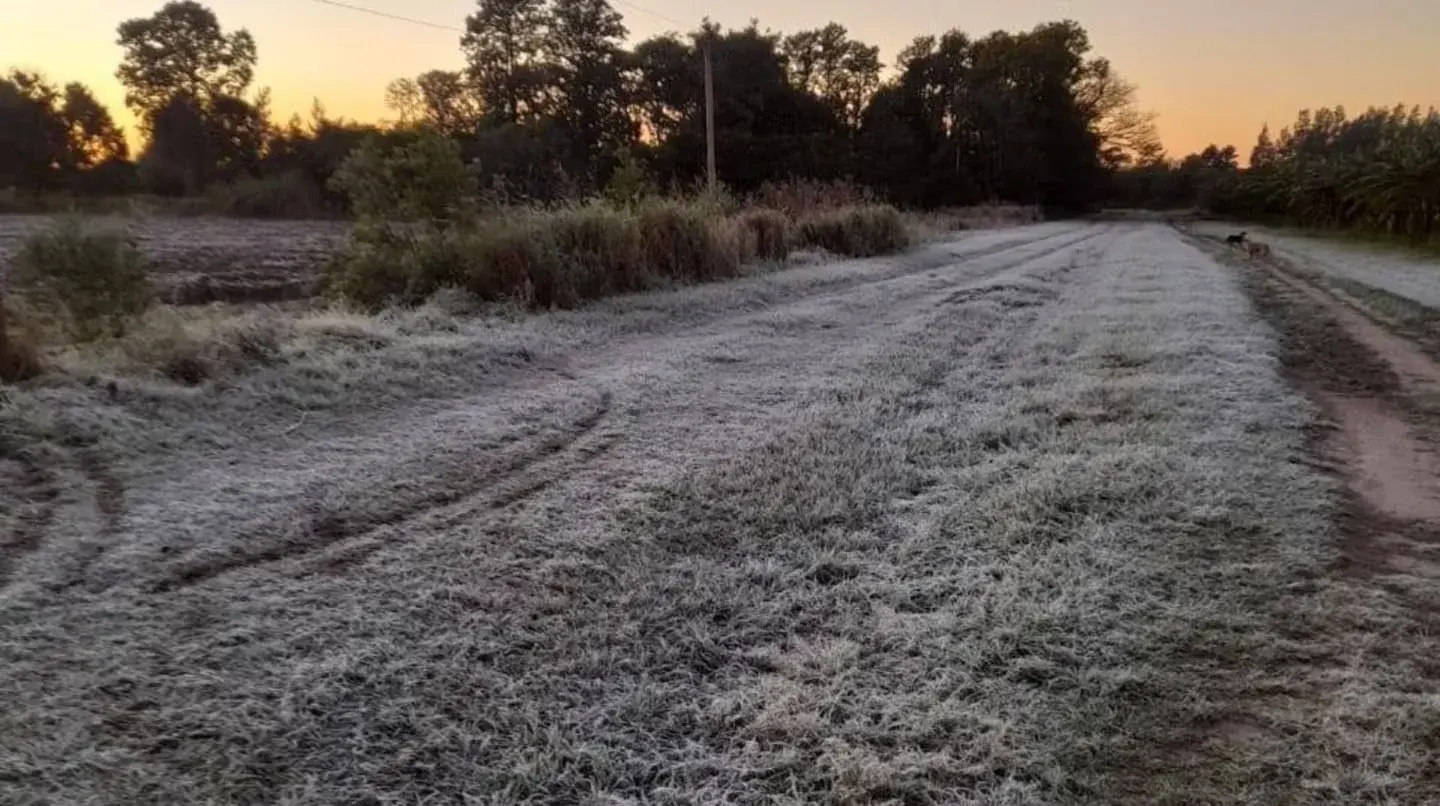 Las heladas volverán a ser protagonistas en gran parte de la provincia de Buenos Aires durante la primera semana completa del invierno.