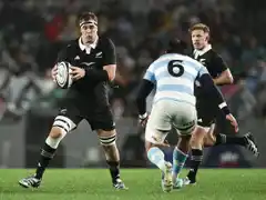 Los Pumas definieron su calendario para 2025