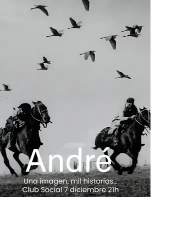 andrebara