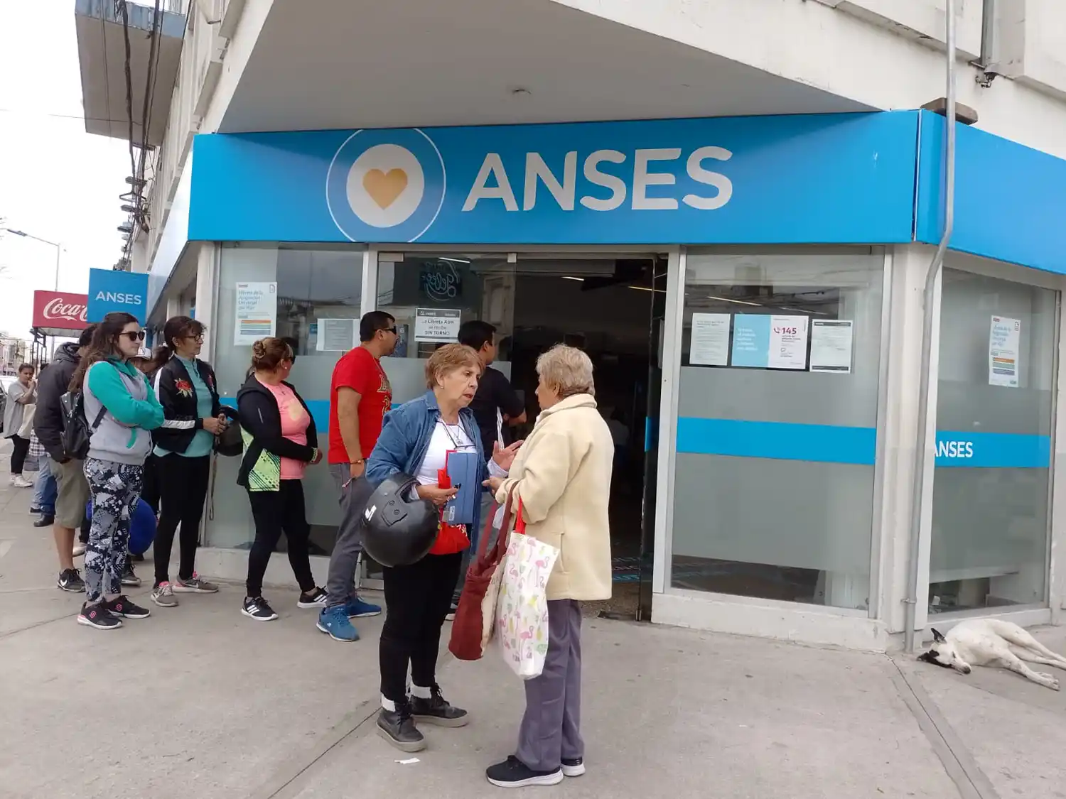 Anses abre los sábados para actualizar el DNI de los 14 años 