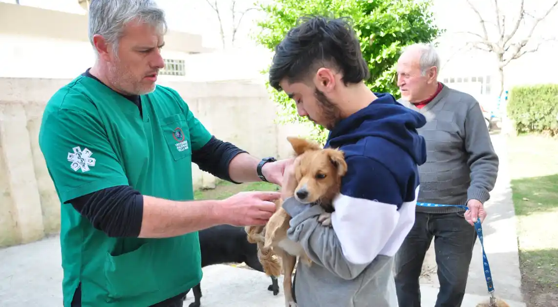 Durante la campaña 2023 se vacunaron 4200 perros y gatos.