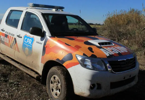 Caso de abigeato en un campo de Juan N. Fernández