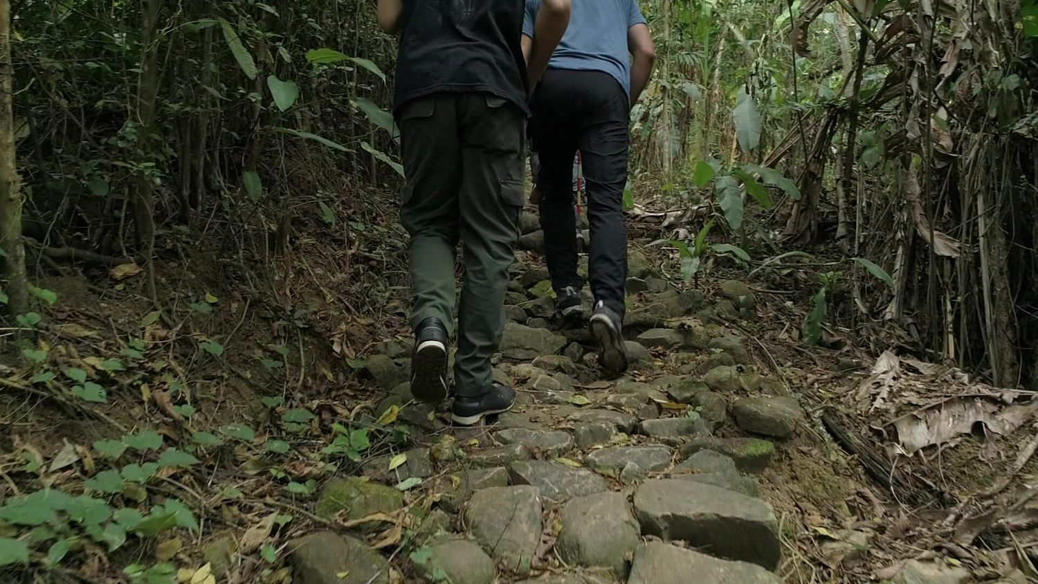 Pidieron domicilio en una finca y les llegaron 5 delincuentes