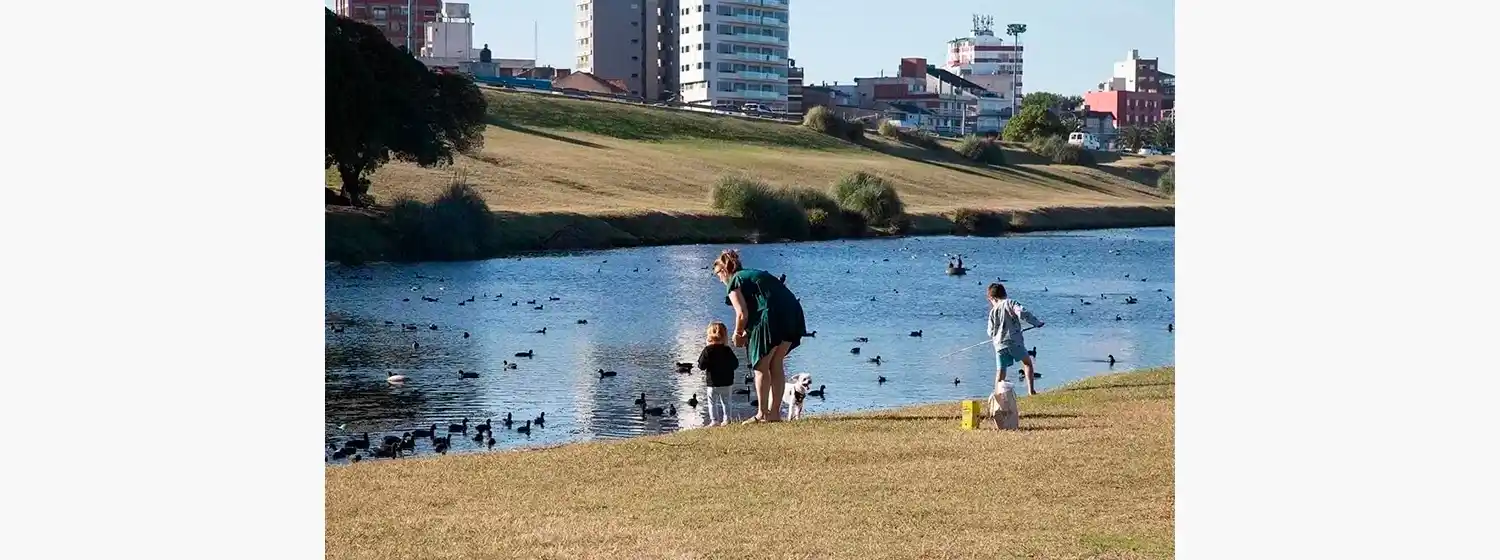 Destaca que “se recuperará uno de los más importantes sectores costeros y de playas que actualmente tiene la ciudad".