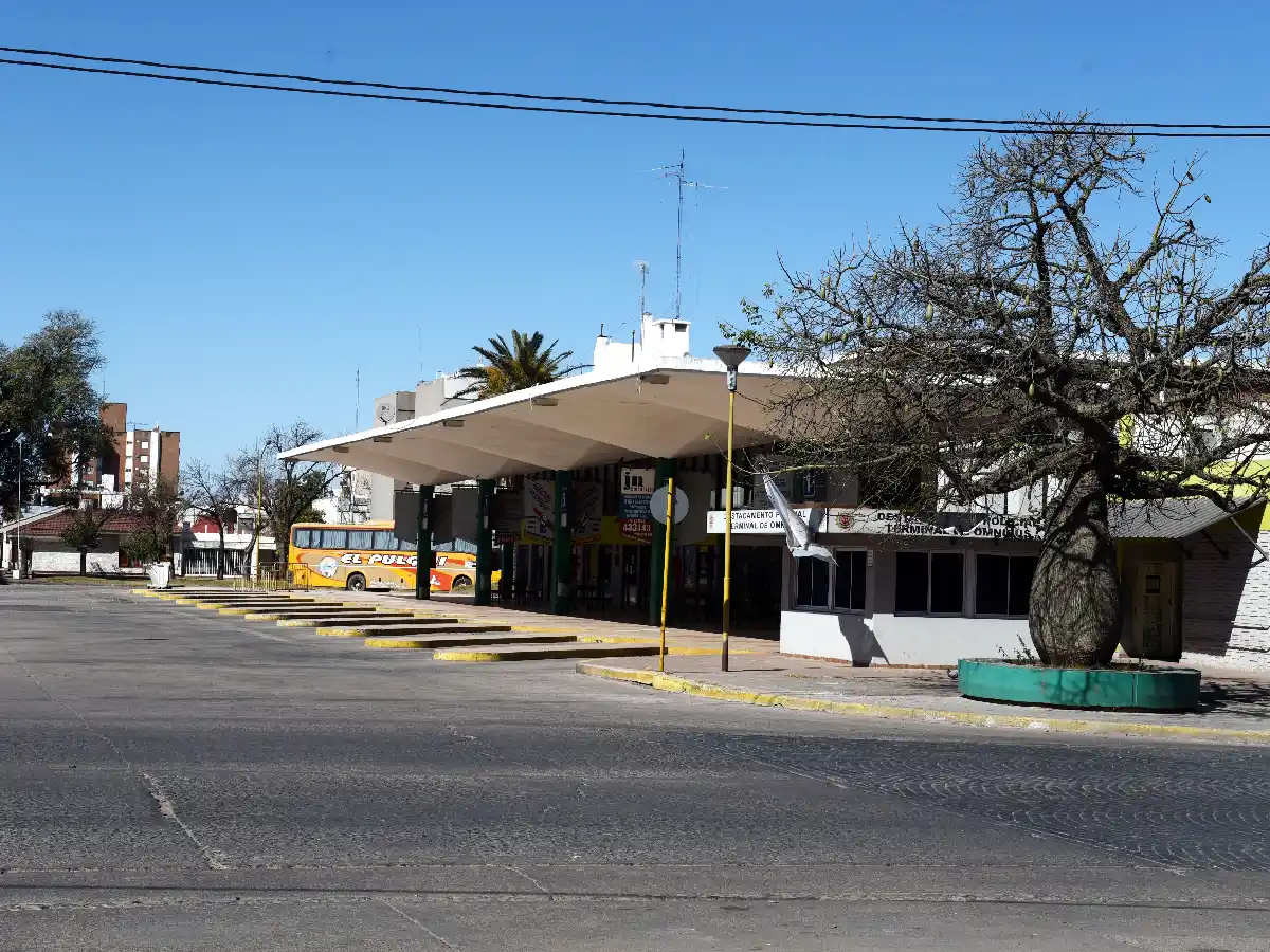 Transporte: el desafío de la sustentabilidad