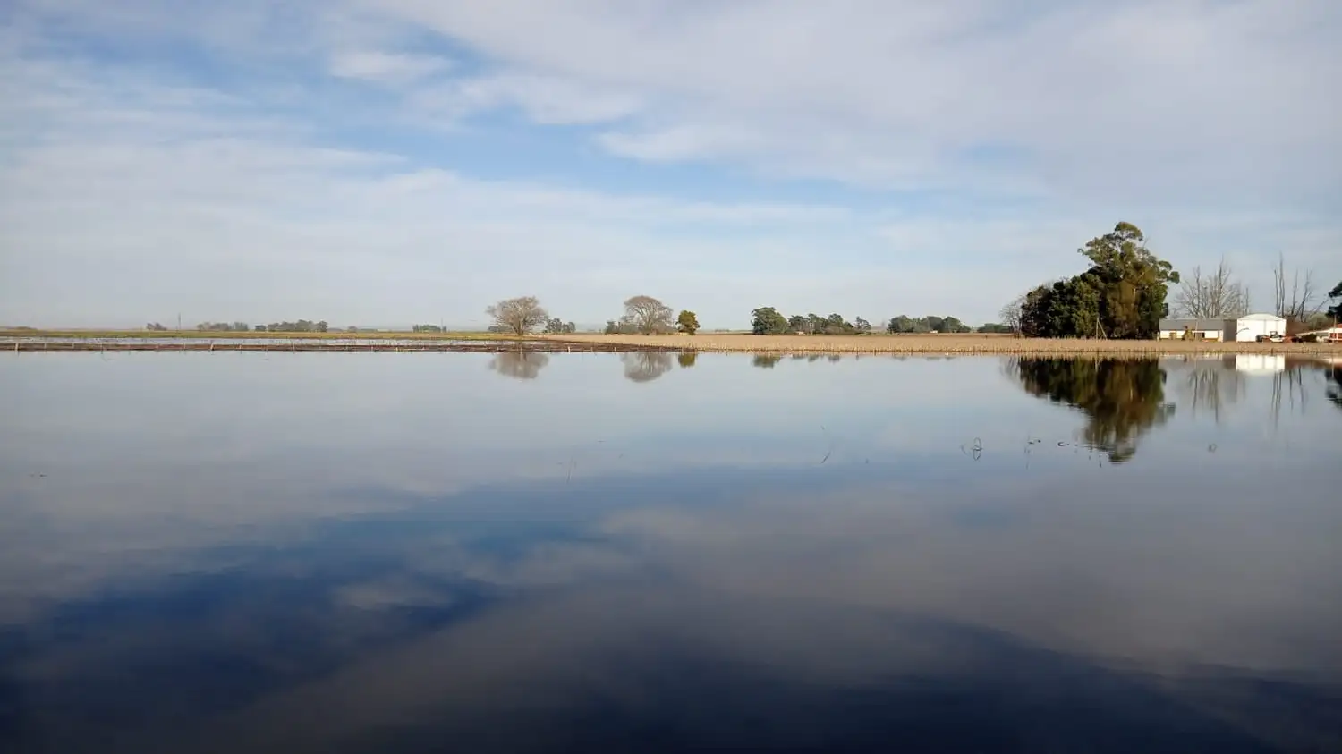 Preocupación en el sector agropecuario por las casi 2 millones de hectáreas inundadas en la Provincia.