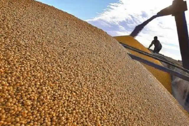 La siembra de soja en Entre Ríos es la más baja de los últimos 16 años
