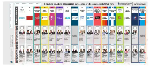Especialista en elecciones advierte que "a esta altura lo adecuado es mantener las boletas originales"