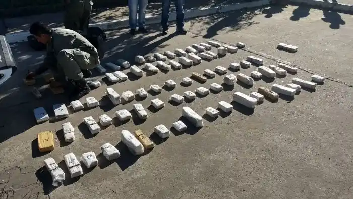 Decomisaron una tonelada de marihuana en Corrientes