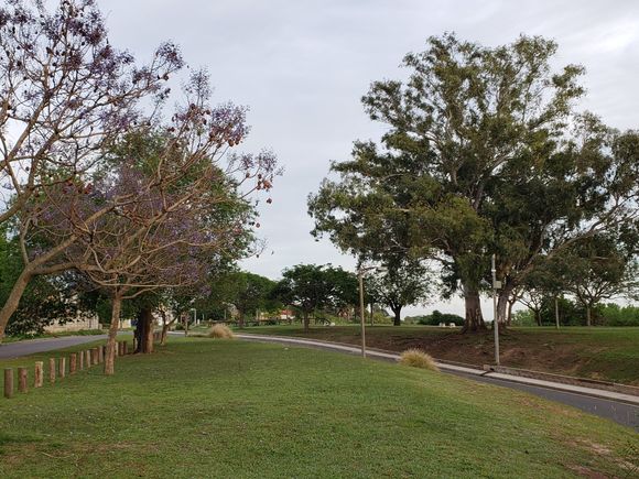 Delincuentes armados robaron moto a una pareja en el Nuevo Boulevard