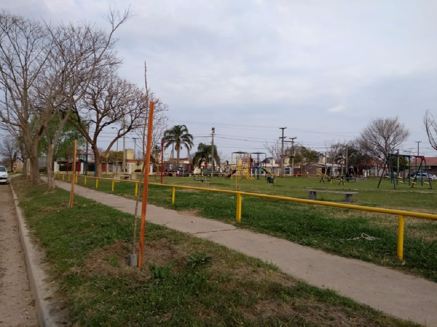 Plantaron unos 170 árboles en el barrio 20 de Junio