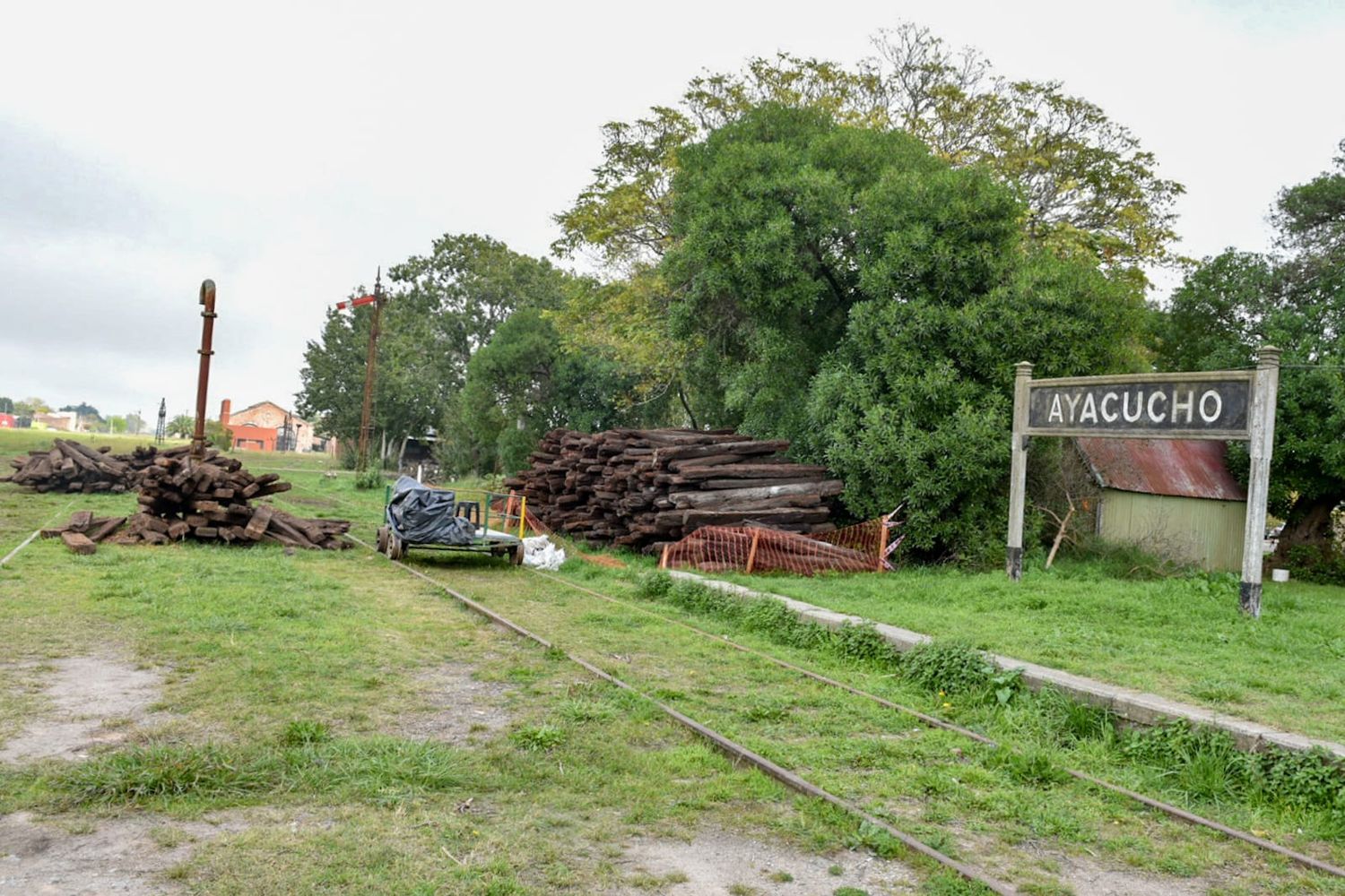 Con las mejoras del tramo Maipú-Ayacucho, avanza la recuperación del tren hasta Tandil