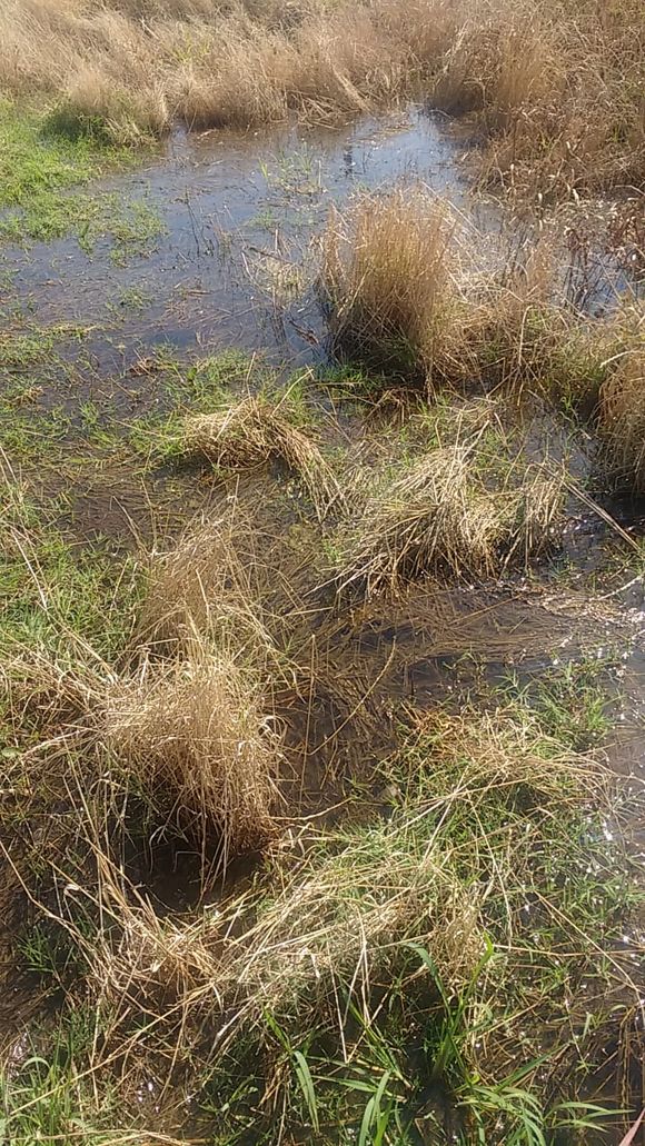 Pueblo Doyle: reclamo por falta de agua a las autoridades