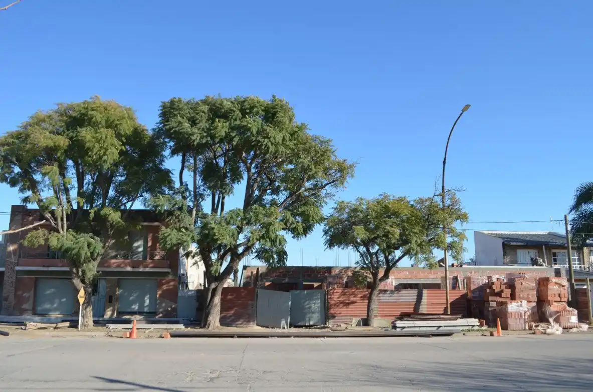 obra pública en Freyre