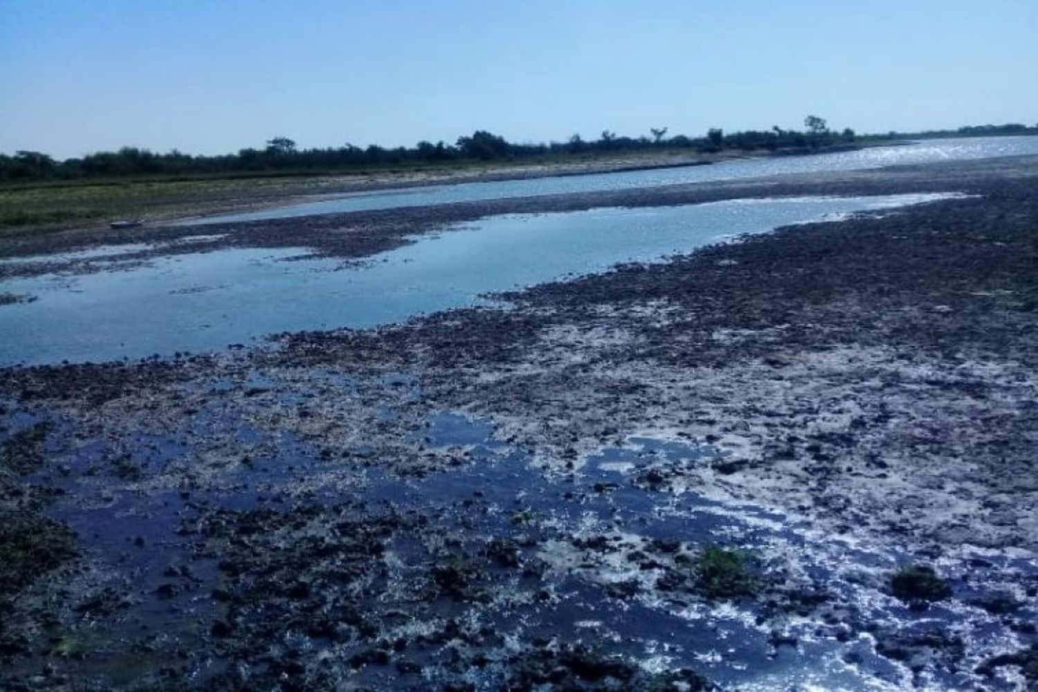 Atención: este verano puede venir más seco que lo esperado