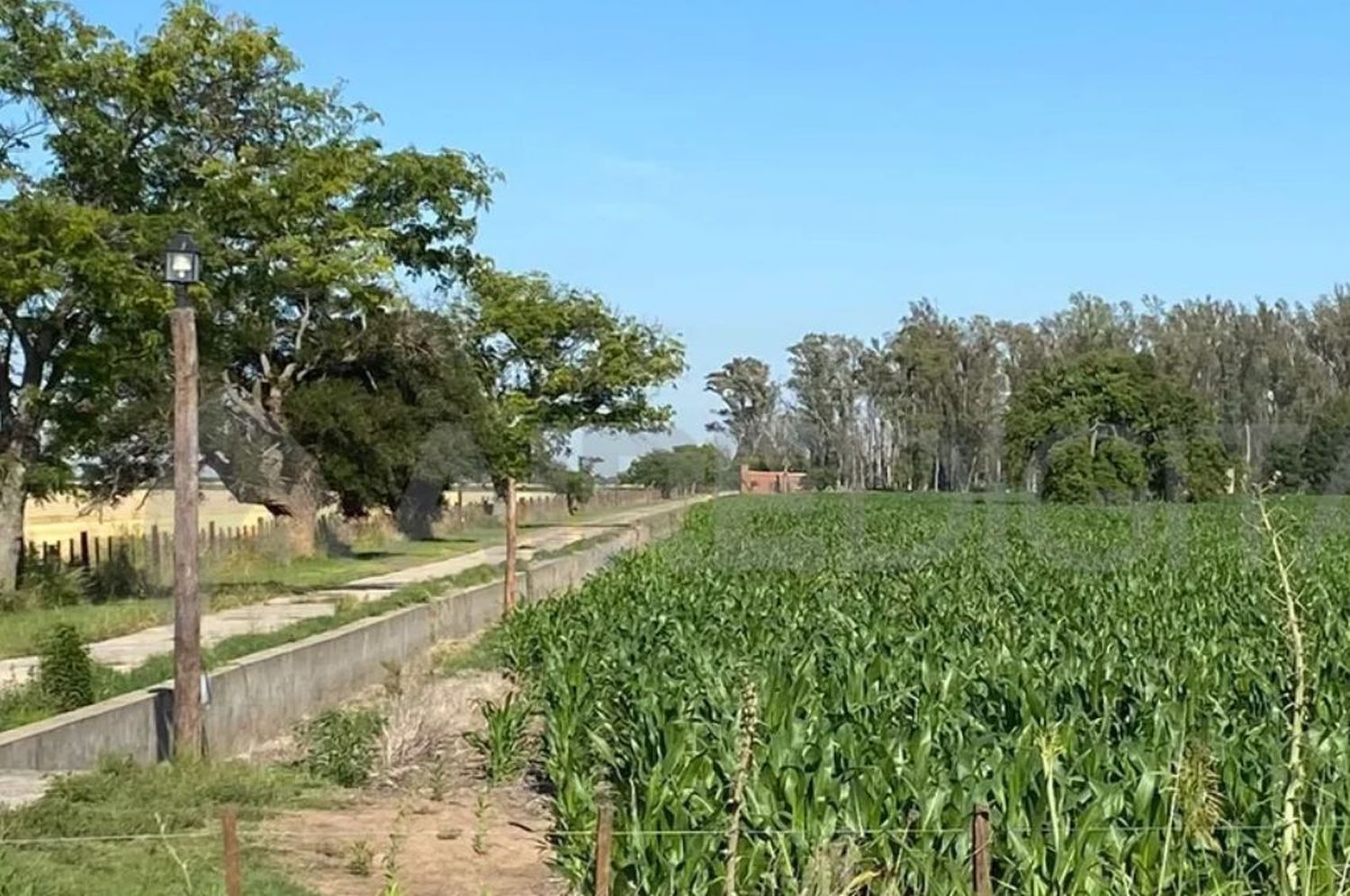 Violenta entradera a una familia en Monte Vera