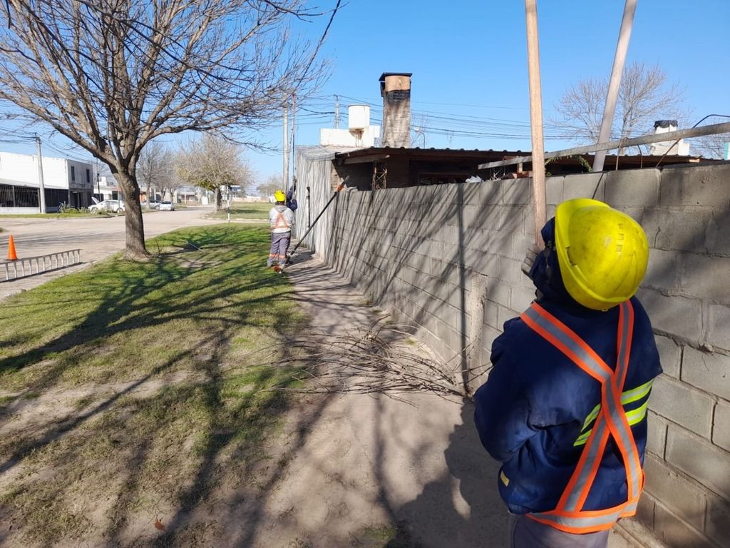Se realizan trabajos de poda en el Barrio San José