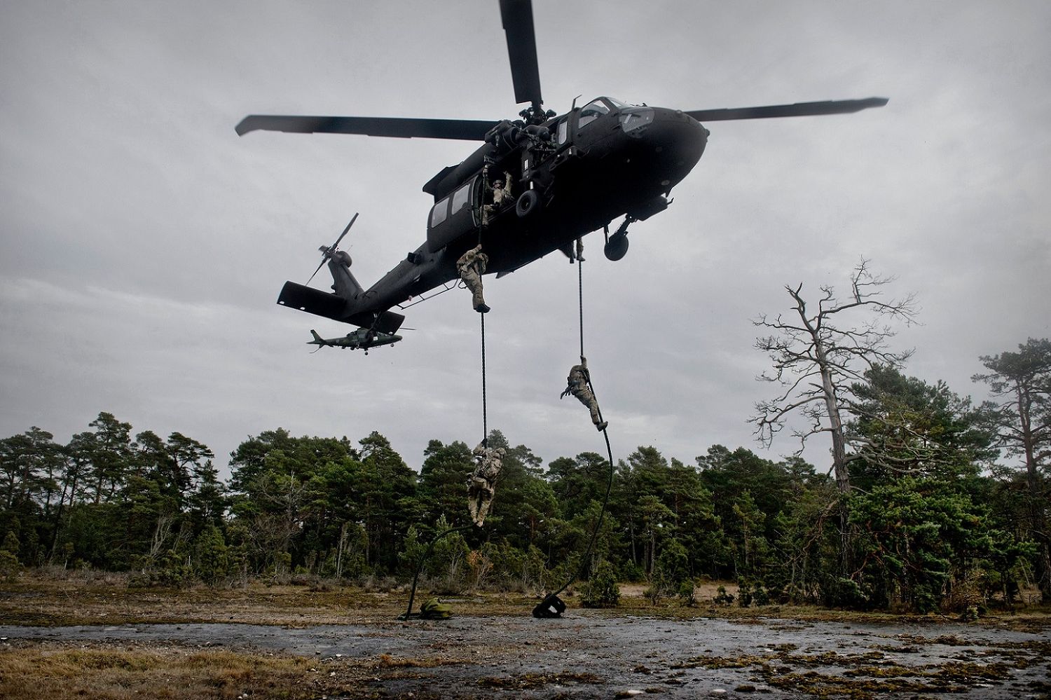 Suecia firma el contrato de compra de 12 helicópteros Sikorsky UH-60M Black Hawk