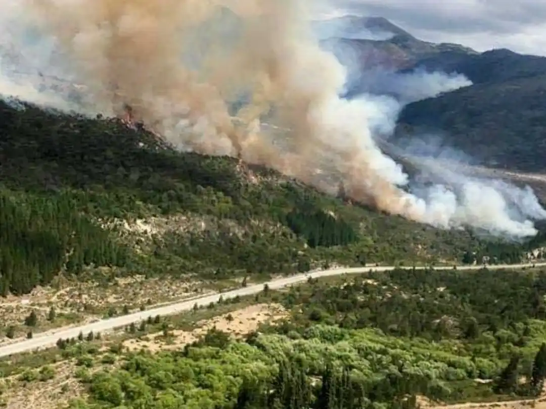 Presupuesto 2026: el Gobierno asignó el número más bajo de la historia para la protección de bosques nativos. (Foto: NA)