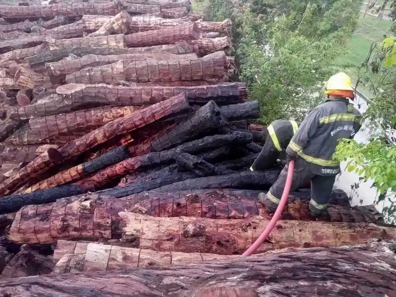 En un incendio intencional en la fábrica 
Unitán se perdieron 20 toneladas de rollizos