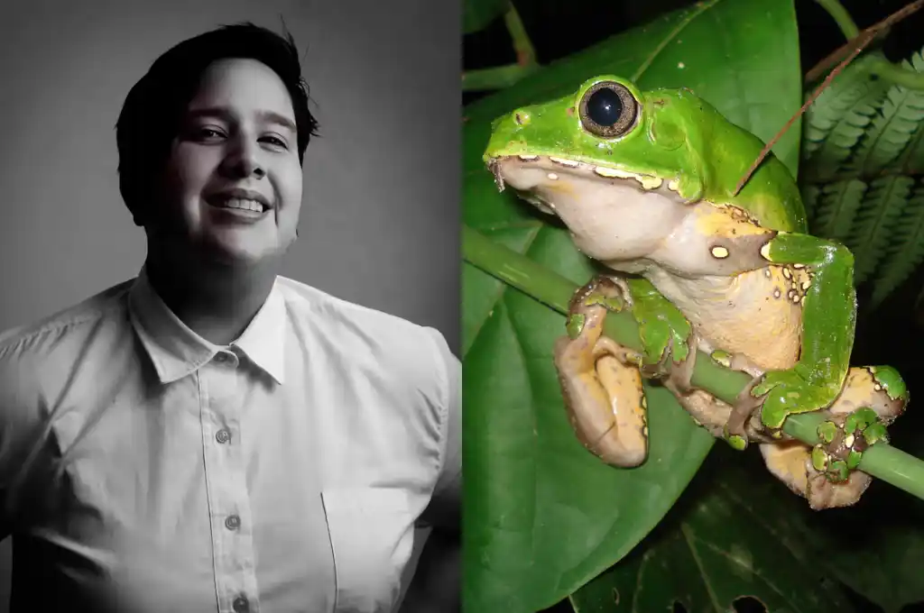 Marcela Alcázar Rodríguez,