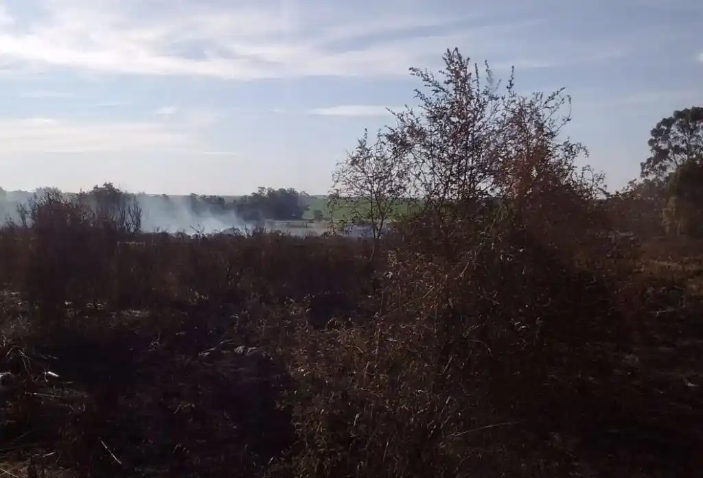 Recomendaciones para frenar con los incendios forestales