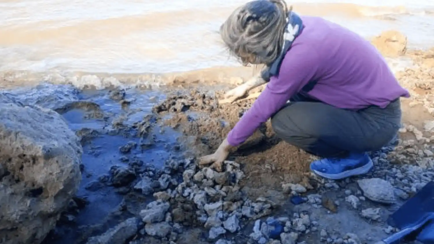 Hallaron restos fósiles de megafauna extinguida de más de 10 mil años en la provincia de Santa Fe