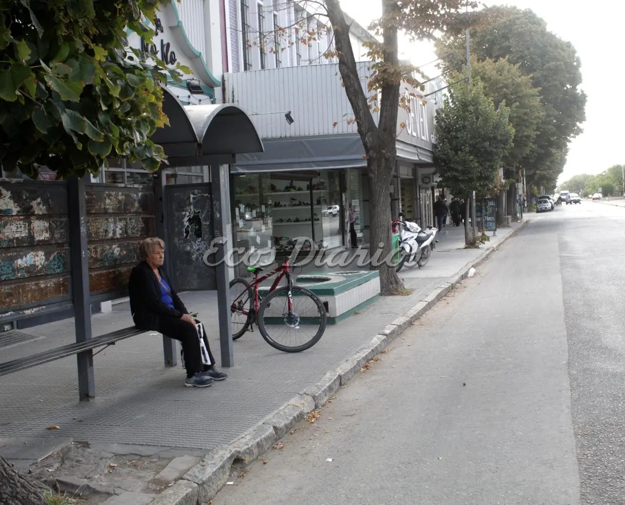 Sin servicios de colectivos durante el día jueves