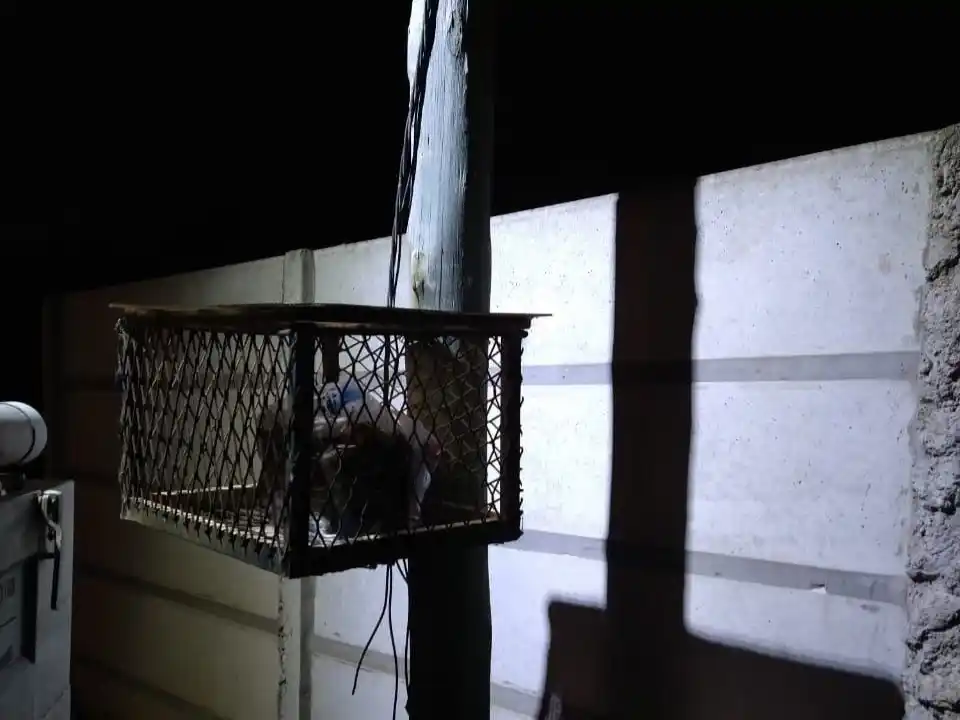 Volvieron a robar cables y dejaron a cuatro casas sin luz