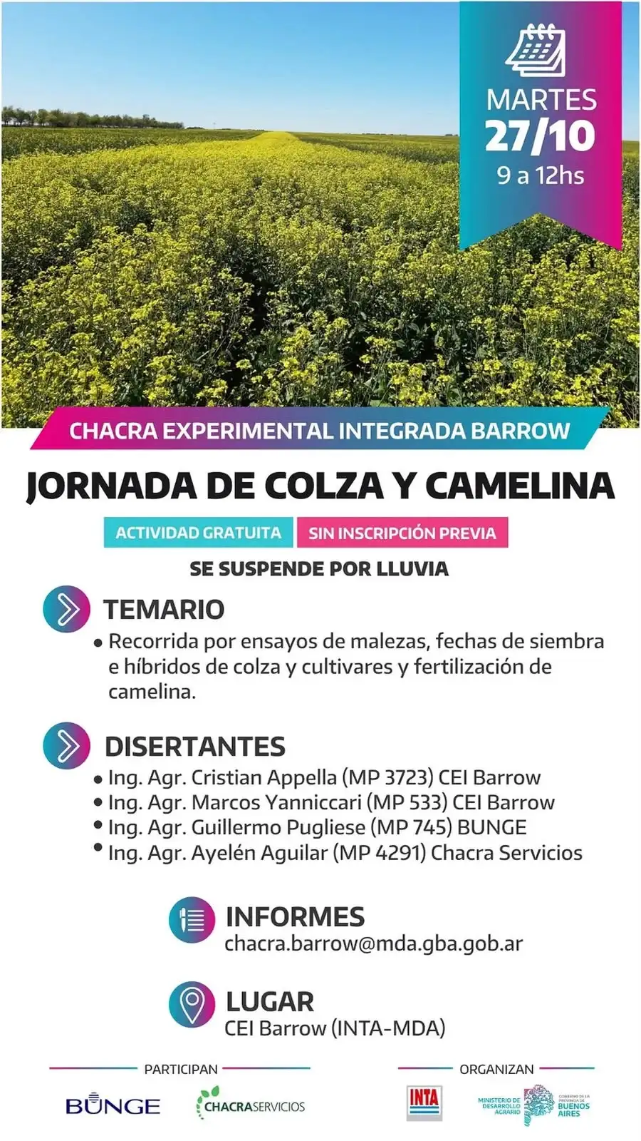 banners barrow jornadas - 4