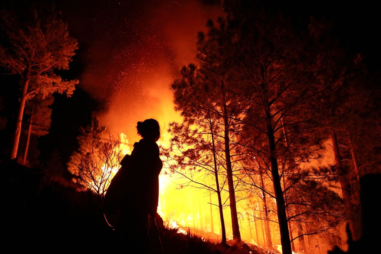 Estiman que ya se quemaron alrededor de 43.000 hectáreas en el territorio cordobés. Crédito: Reuters