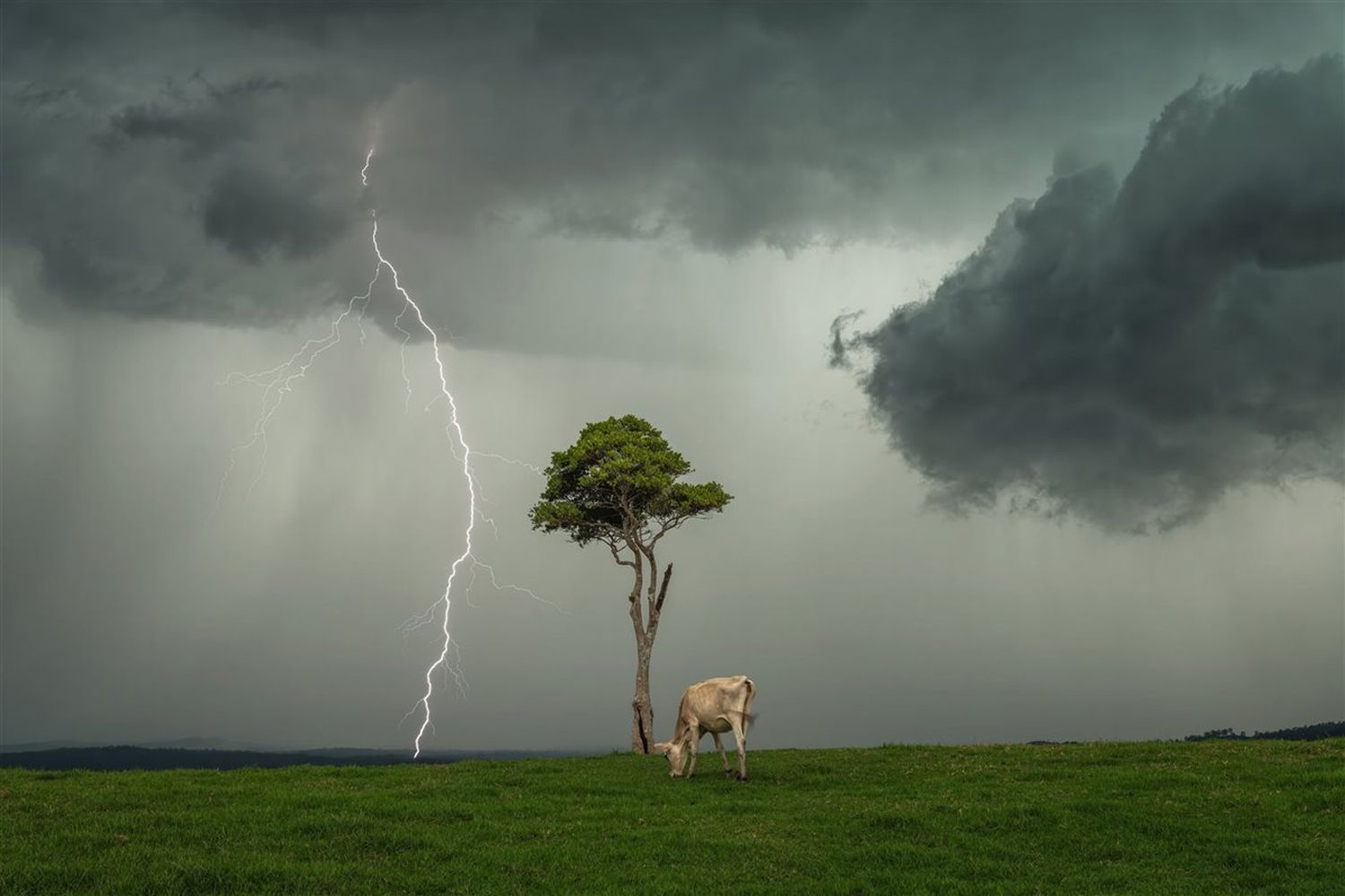 Fotos de tormentas más impresionantes