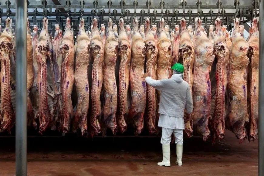 Suben las exportaciones de carne.