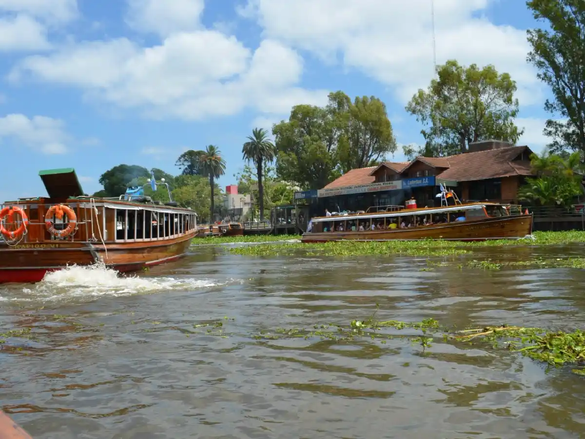 El Delta, el lugar elegido por artistas e intelectuales