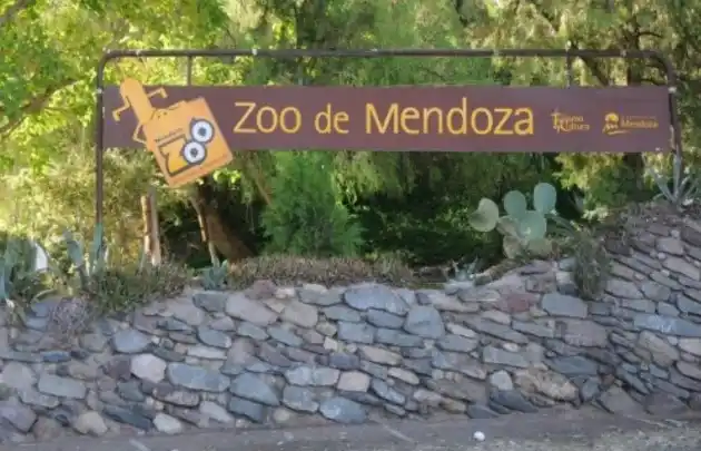 Darán en adopción a animales del ex zoológico de Mendoza