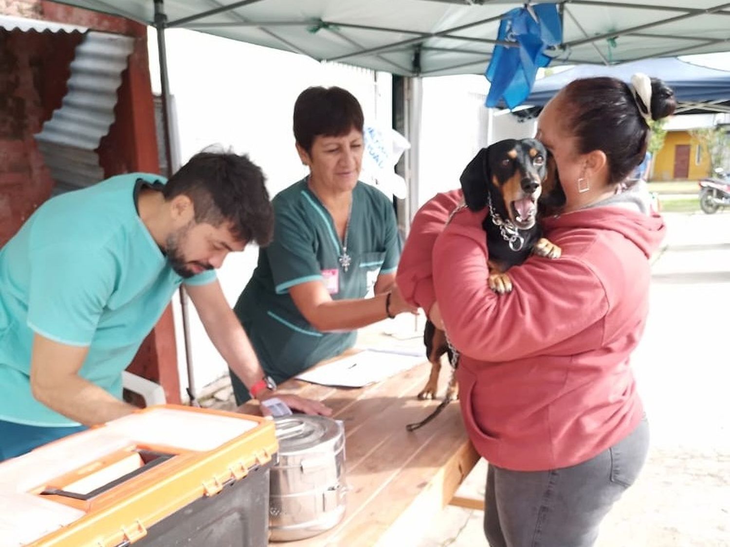 El municipio realizó un operativo especial de castraciones