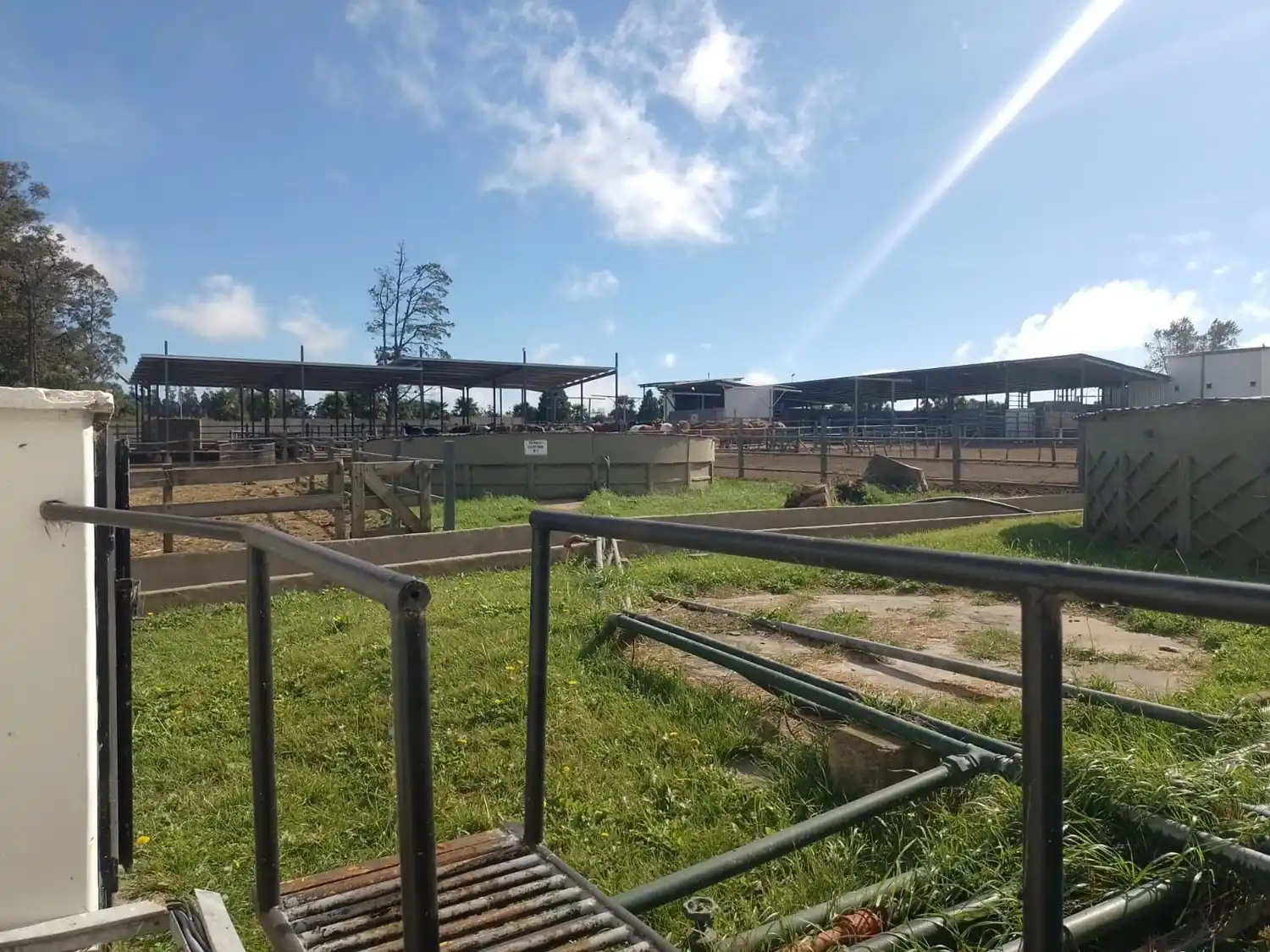 Reunión por robo de caballos.