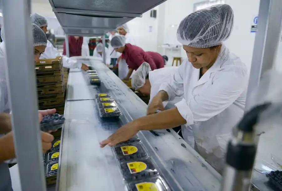 Advirtieron que en el primer semestre de gobierno se perdieron unas diez mil pymes