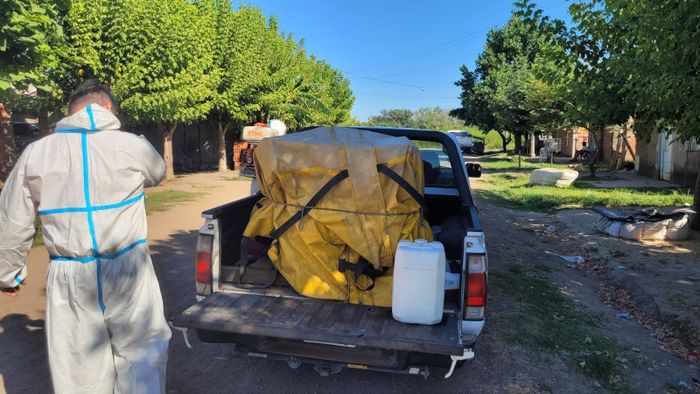 fumigacion mosquitos