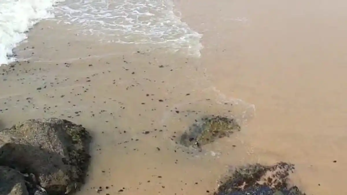 «OLAS DE PETRÓLEO» en playas de Puerto Píritu