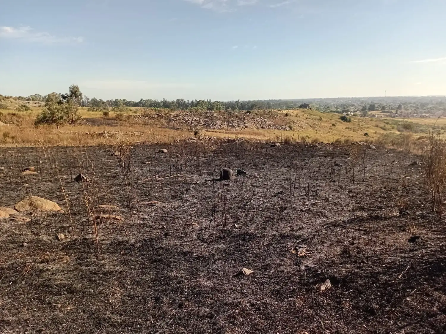 Los incendios y las sospechas vecinales.