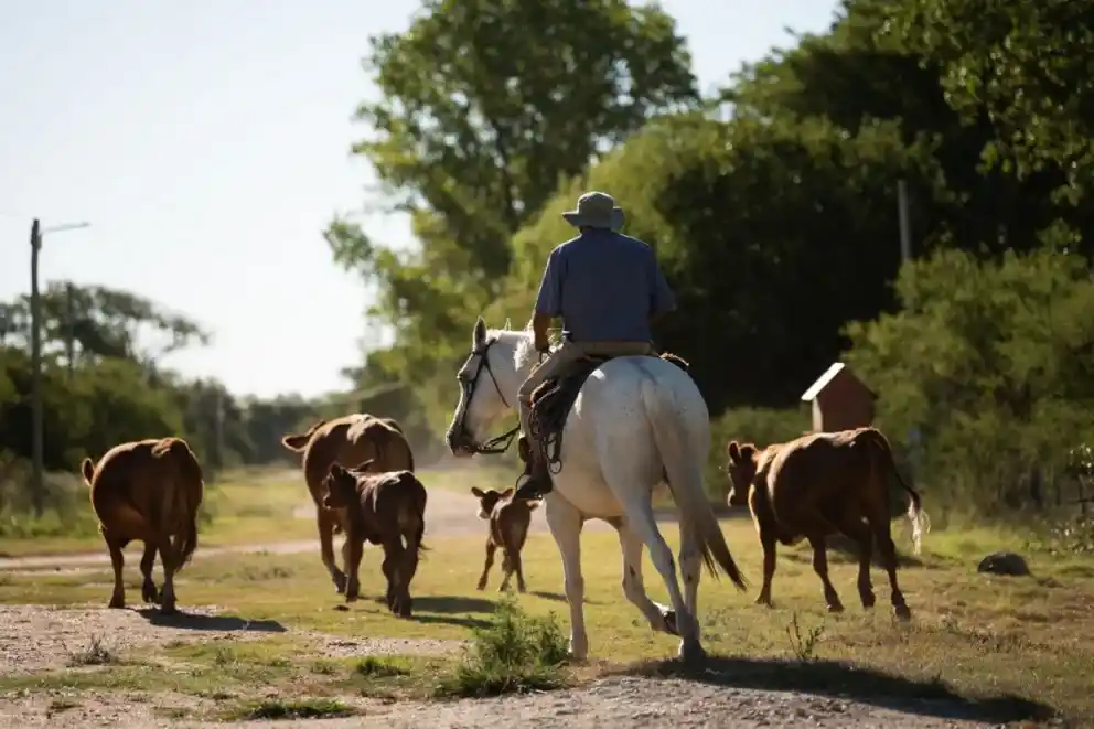 27 localidades entrerrianas se integran a la plataforma STAR de ONU Turismo
