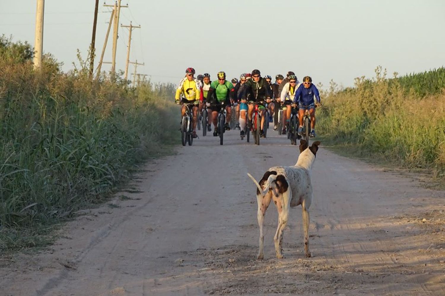 Bicicleteada para concientizar sobre donación de órganos