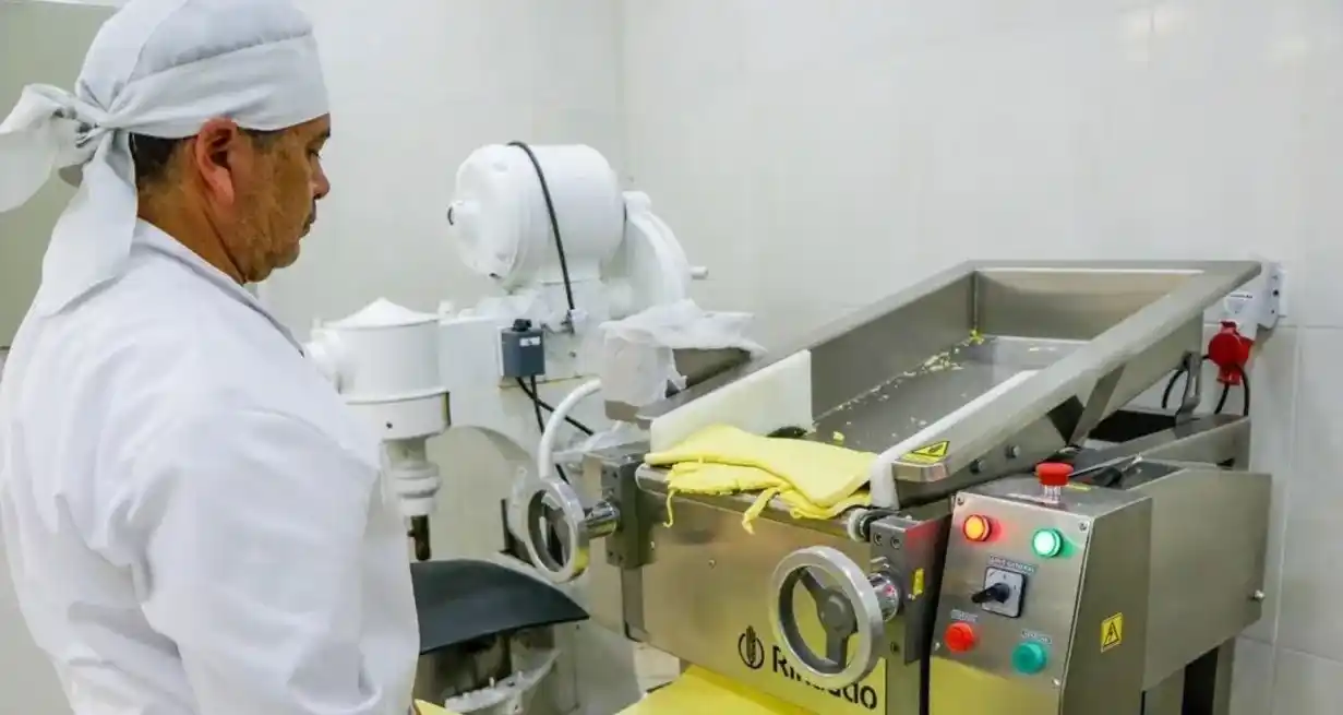 El sector industrial manufacturero logró una recuperación neta del 1,5% entre enero y noviembre de 2024. NA