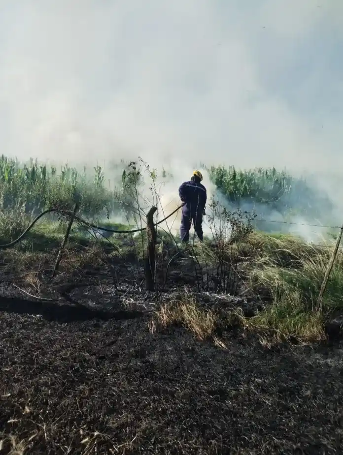 Se incendió un campo y tres dotaciones de bomberos sofocaron las llamas