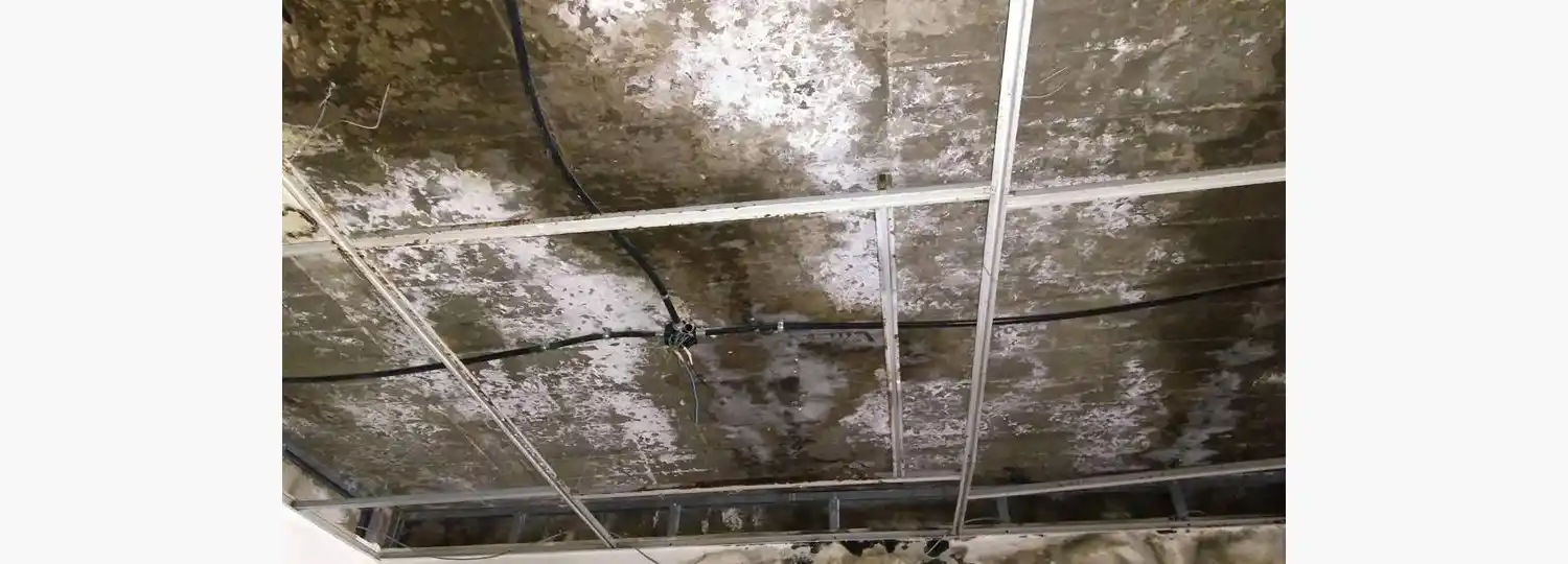 La Escuela 58 recuperará a fin de año su edificio para poder dar clases