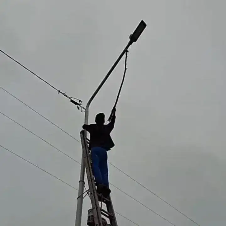 Lazo