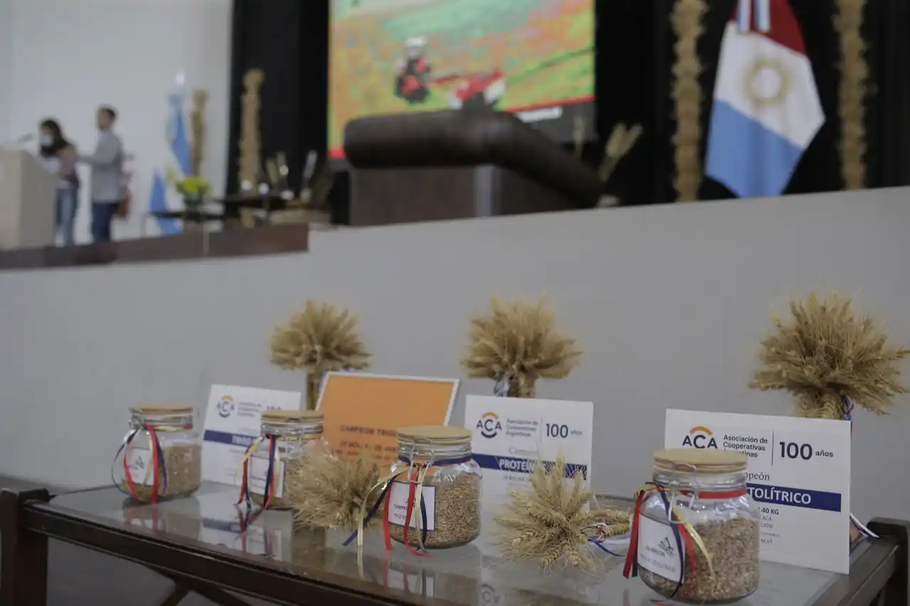 Los trigos de la Agraria están hechos unos Leones